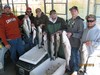 (10/03/2015) - Nice Striped Bass
